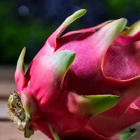 dragon fruit-1-icon-produce