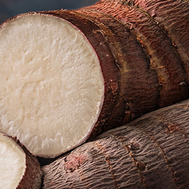 malanga-yuca-plantains-1